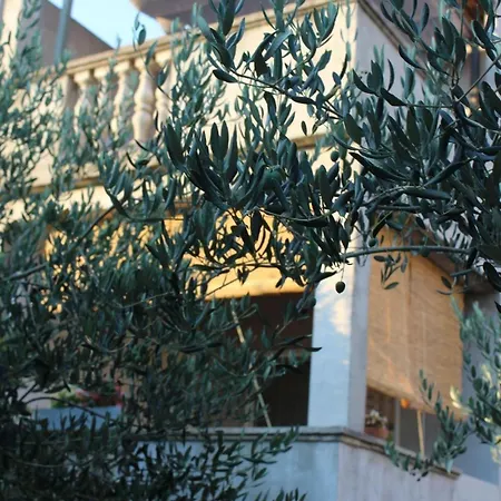 Schoenes Gaestezimmer Mit Grosser Sonnenterrasse Apartment Zadar